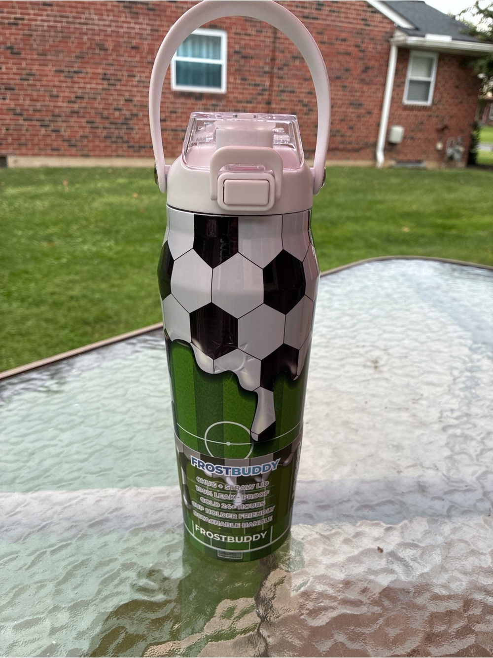 FROSTBUDDY Soccer Stainless Travel Bottle - Green/Black/White
